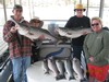 (03/31/2015) - Nice Striped Bass